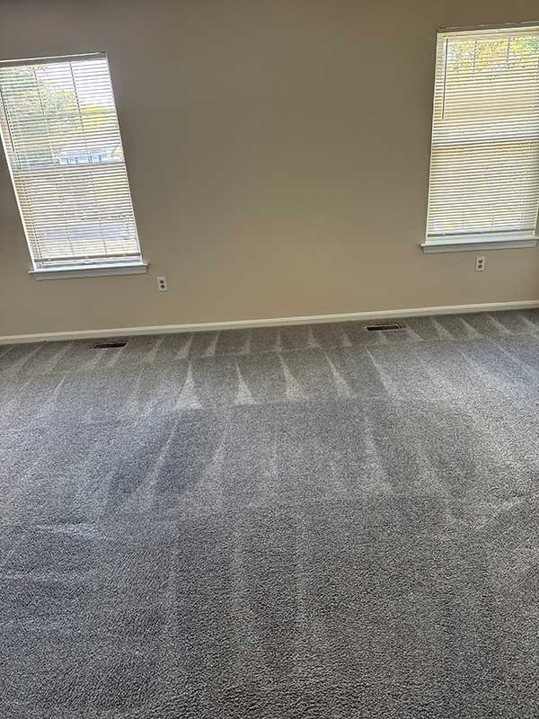 Carpet Cleaning gallery