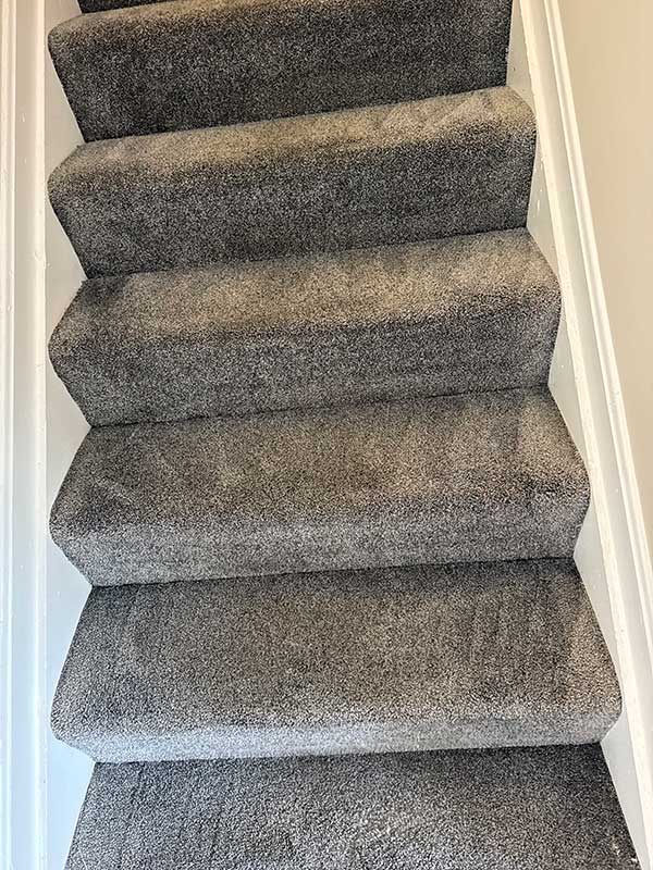 Carpet Cleaning gallery