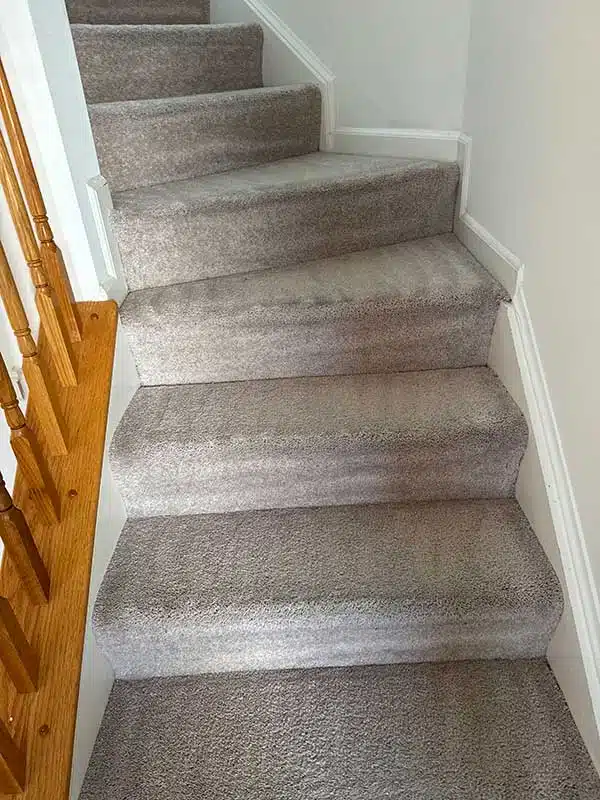 Carpet Cleaning gallery