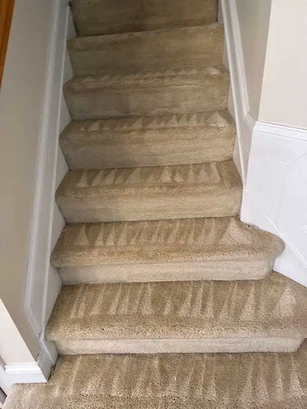 Carpet Cleaning gallery