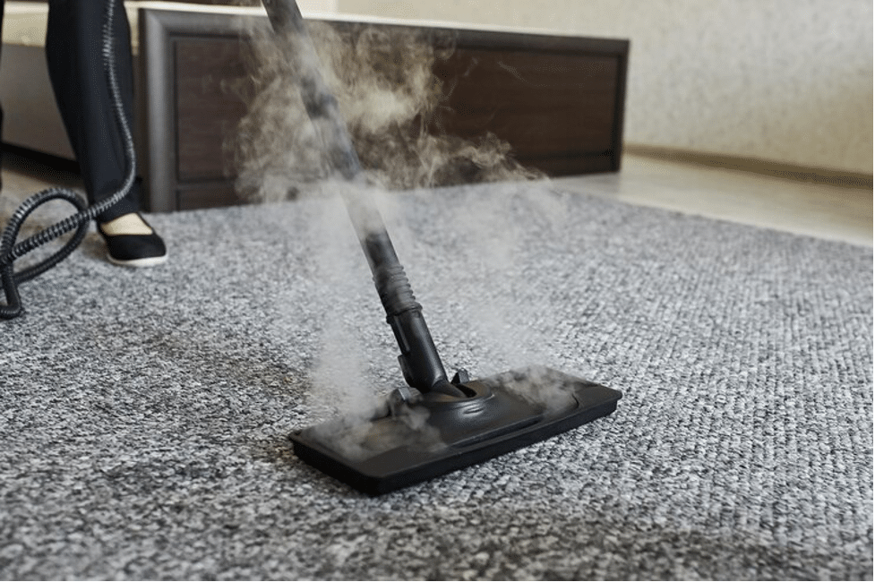 Carpet Steam Cleaning Company in Annapolis