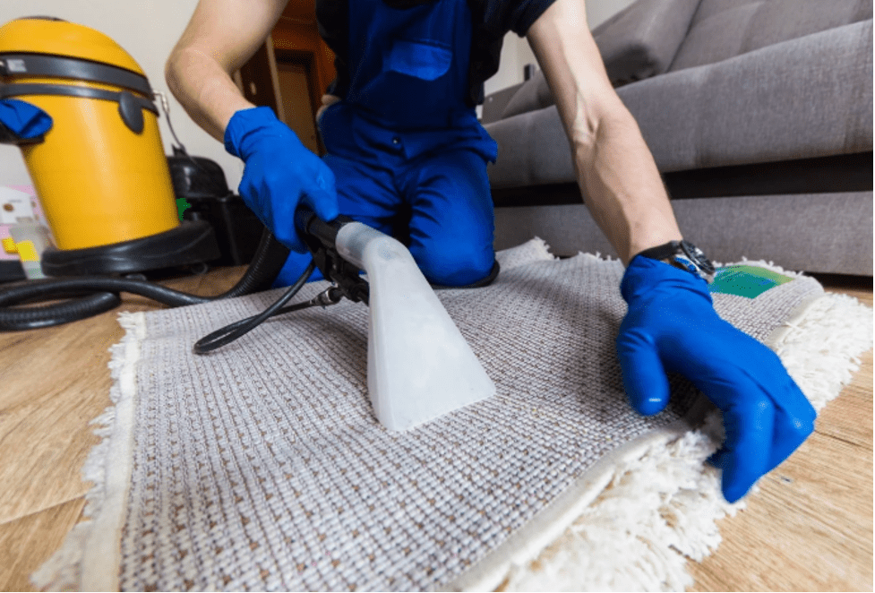 Eco-Friendly Carpet Cleaning