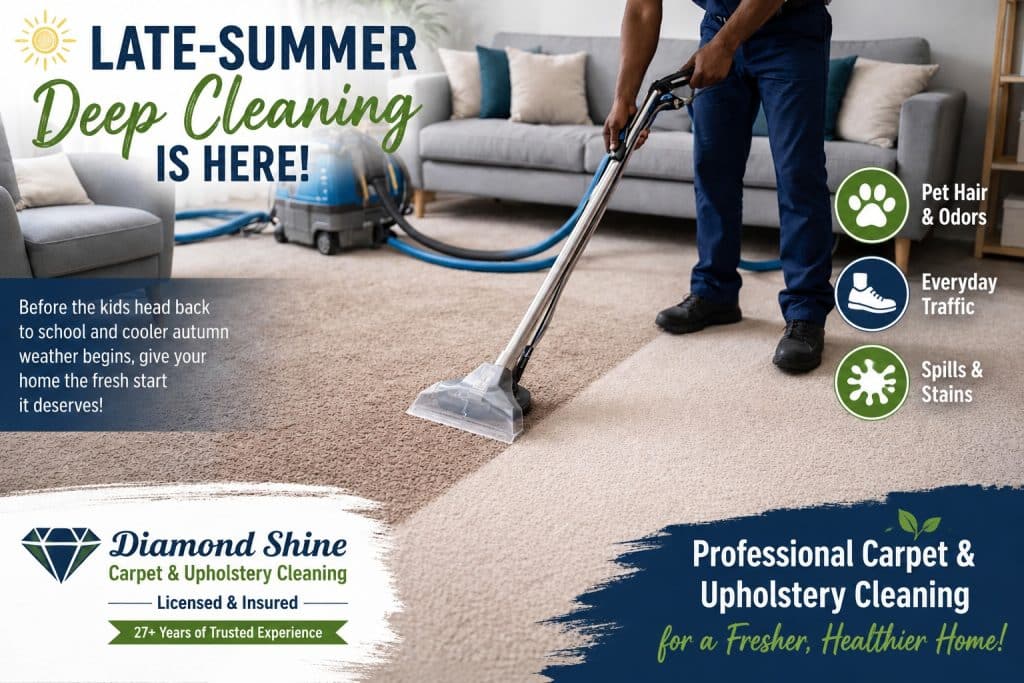 Professional carpet cleaning service in a Maryland home